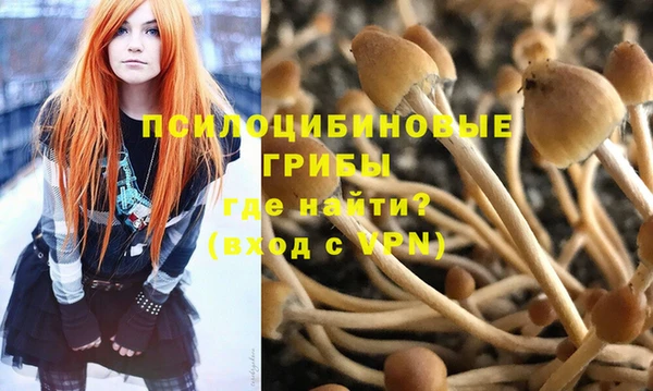 прущая мука Богородск
