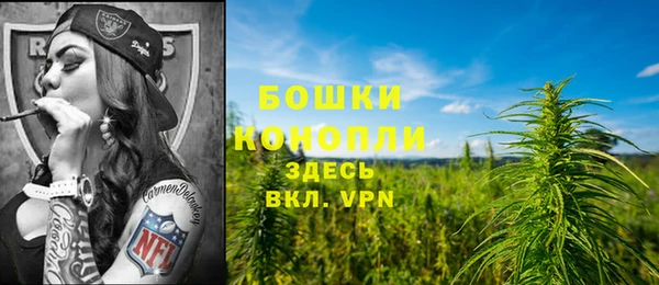 Альфа ПВП Богданович
