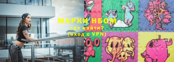 ГАЛЛЮЦИНОГЕННЫЕ ГРИБЫ Бородино