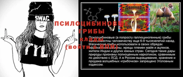 прущая мука Богородск