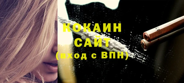 ГАЛЛЮЦИНОГЕННЫЕ ГРИБЫ Бородино